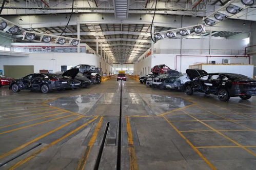 日均撞廢兩輛車，比亞迪公開實驗室背后的安全密碼與行業啟示